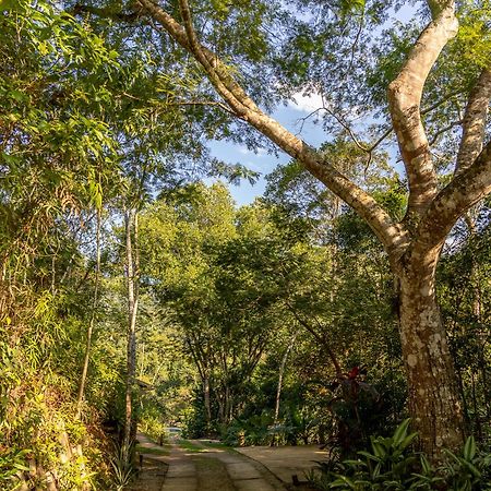 La Luciole Ecolodge Parati Esterno foto