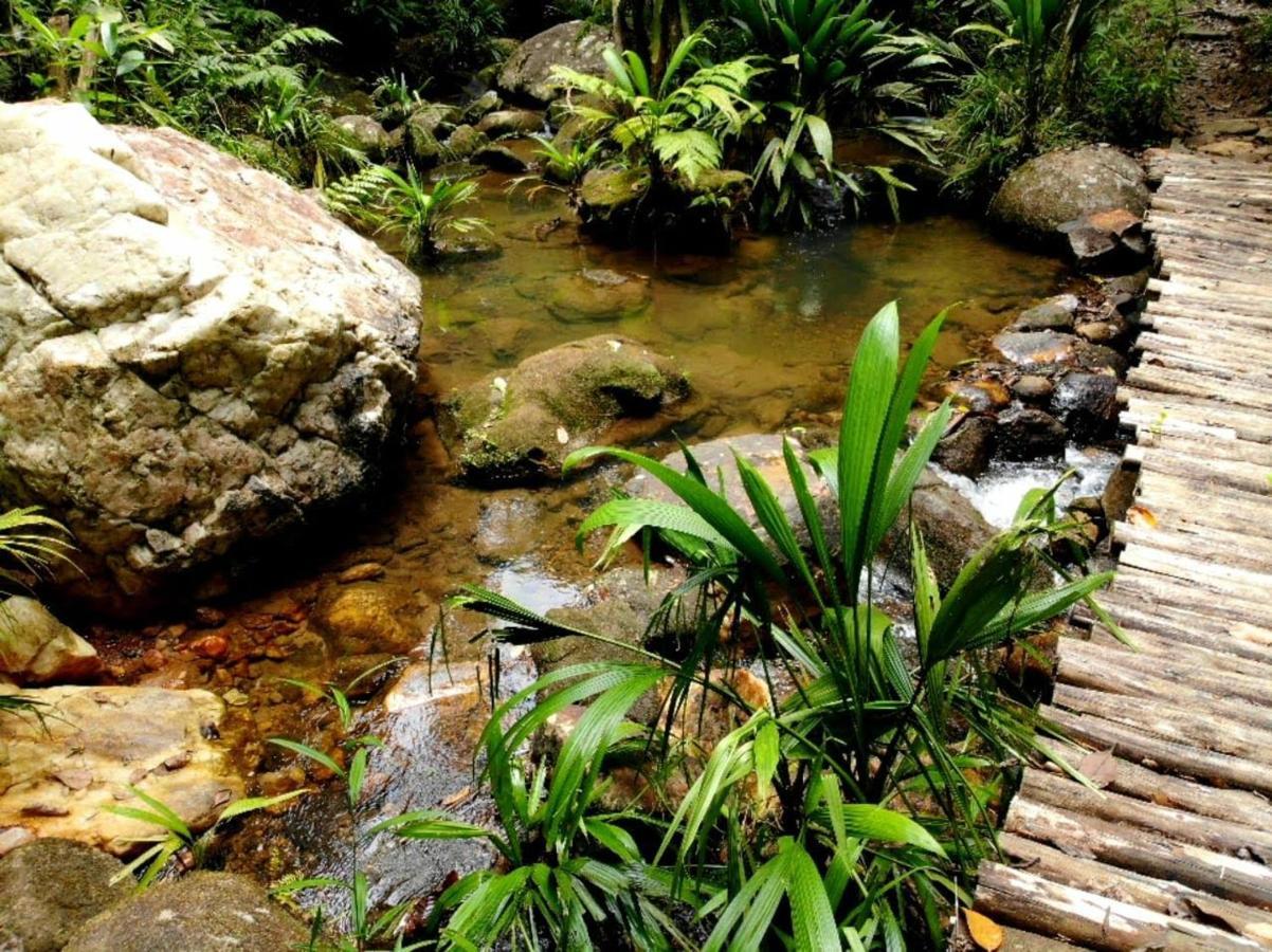 La Luciole Ecolodge Parati Esterno foto