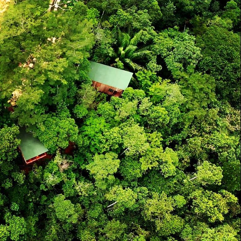 La Luciole Ecolodge Parati Esterno foto